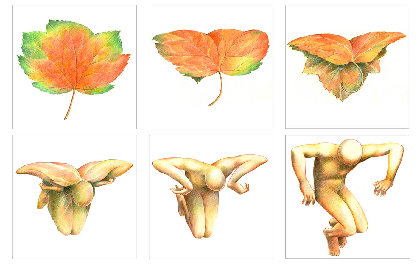 Leaf Man